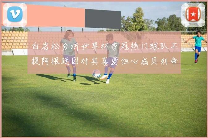 白岩松分析世界杯夺冠热门球队不提阿根廷因对其喜爱担心成贝利命运